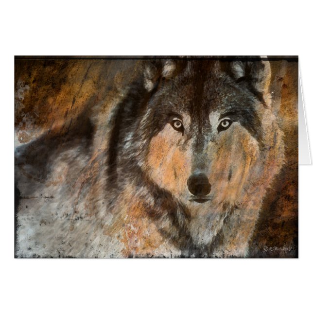 PaintedWolf (Vorderseite (Horizontal))