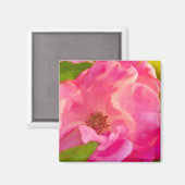 Painterly Abstrakt Pink Rose Floral Fotografy Magnet (Vorderseite/Rückseite)
