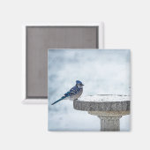 Painterly gegenüber magnet (Vorderseite/Rückseite)