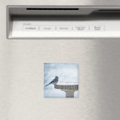 Painterly gegenüber magnet (In Situ (Geschirrspüler))