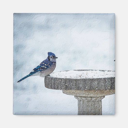 Painterly gegenüber magnet (Vorne)