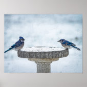 Painterly gegenüber poster (Vorne)