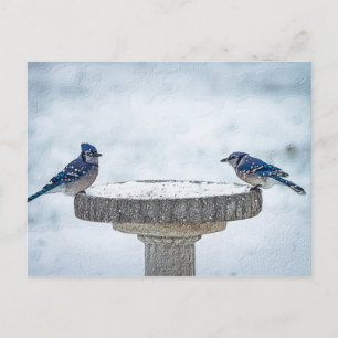 Painterly gegenüber postkarte