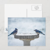 Painterly gegenüber postkarte (Vorne/Hinten)