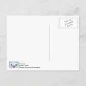 Painterly gegenüber postkarte (Rückseite)