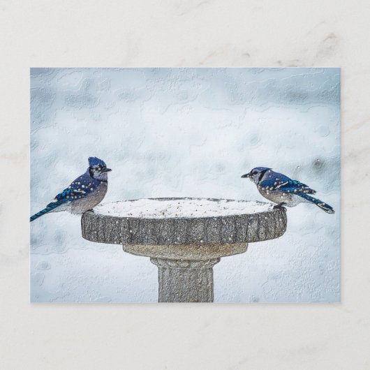 Painterly gegenüber postkarte (Vorderseite)