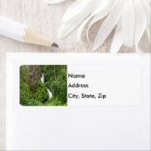 Painterly Plunderbird (Insitu)