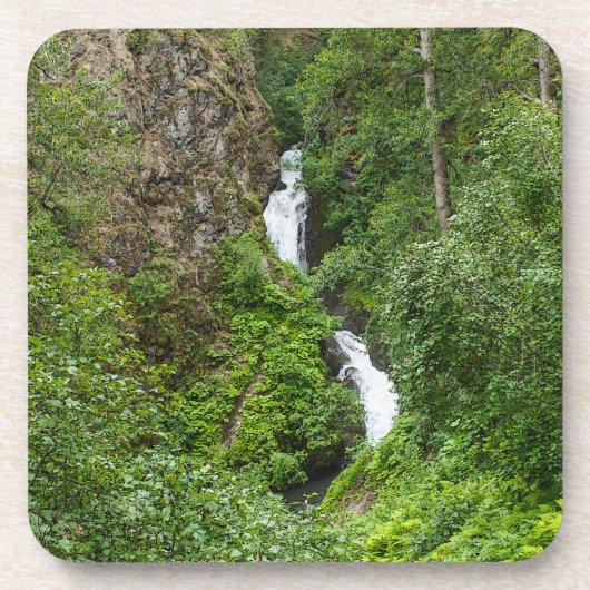 Painterly Plunderbird Getränkeuntersetzer (Vorderseite)