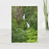 Painterly Plunderbird Karte (Vorderseite)