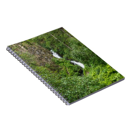 Painterly Plunderbird Notizblock (Rechte Seite)