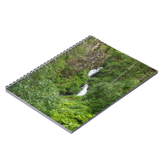 Painterly Plunderbird Notizblock (Linke Seite)