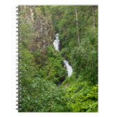 Painterly Plunderbird Notizblock (Vorderseite)