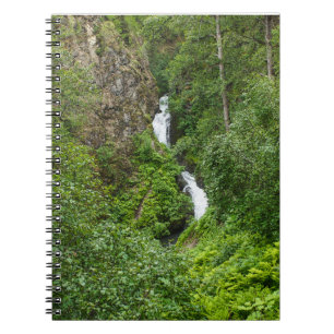 Painterly Plunderbird Notizblock