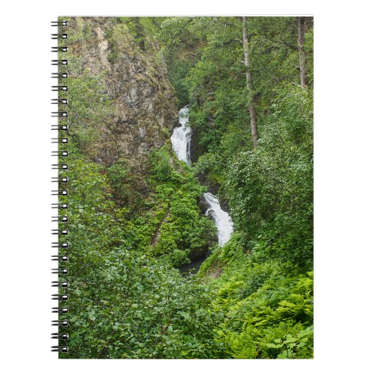 Painterly Plunderbird Notizblock (Vorderseite)