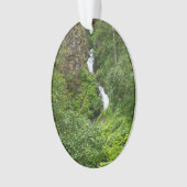 Painterly Plunderbird Ornament (Vorderseite)