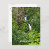 Painterly Plunderbird Postkarte (Vorne/Hinten)