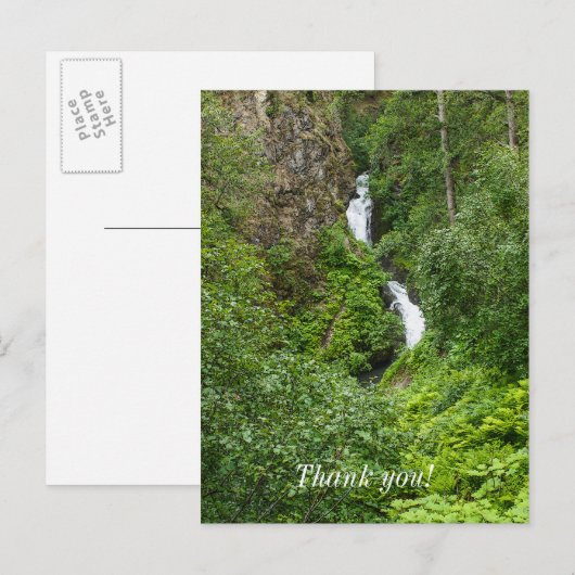 Painterly Plunderbird Postkarte (Vorne/Hinten)