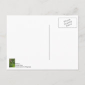 Painterly Plunderbird Postkarte (Rückseite)