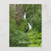 Painterly Plunderbird Postkarte (Vorderseite)