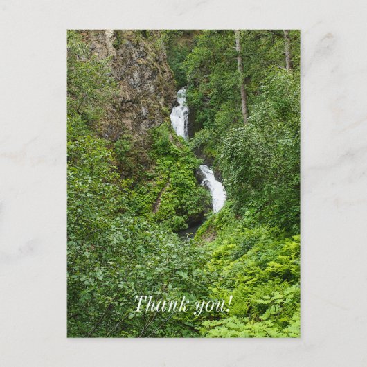 Painterly Plunderbird Postkarte (Vorderseite)