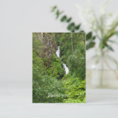 Painterly Plunderbird Postkarte (Stehend Vorderseite)