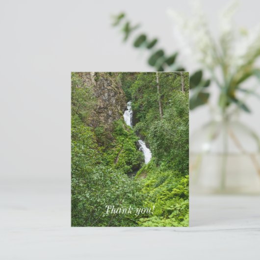 Painterly Plunderbird Postkarte (Stehend Vorderseite)