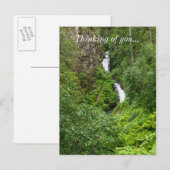 Painterly Plunderbird Postkarte (Vorne/Hinten)