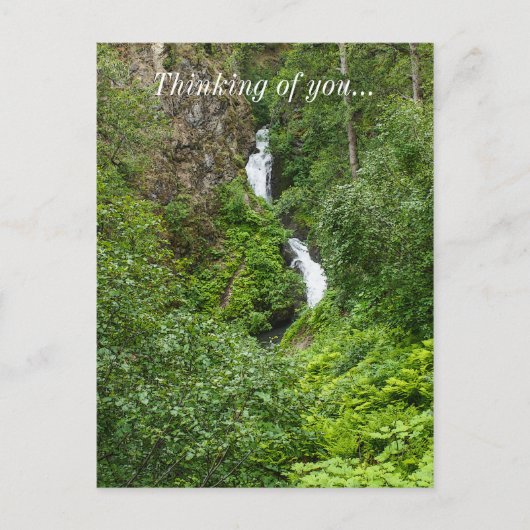 Painterly Plunderbird Postkarte (Vorderseite)