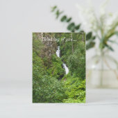 Painterly Plunderbird Postkarte (Stehend Vorderseite)