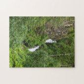 Painterly Plunderbird Puzzle (Horizontal)