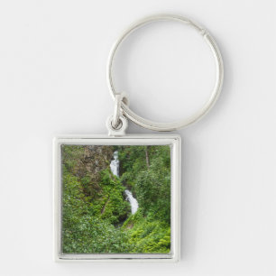 Painterly Plunderbird Schlüsselanhänger