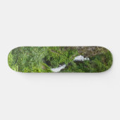 Painterly Plunderbird Skateboard (Horizontal)