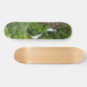Painterly Plunderbird Skateboard (Horizontal)