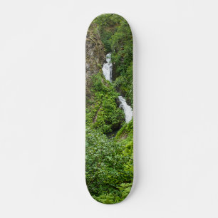 Painterly Plunderbird Skateboard