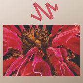 Painterly Vivid Red Bee Belm Blume geschlossen Seidenpapier