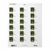 Painterly White Point Gardens Adressaufkleber (Vorne)