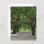 Painterly White Point Gardens Postkarte (Vorne/Hinten)