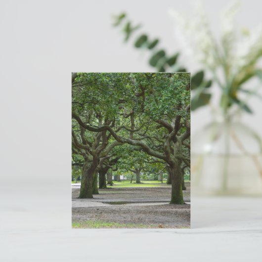 Painterly White Point Gardens Postkarte (Stehend Vorderseite)