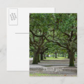 Painterly White Point Gardens Postkarte (Vorne/Hinten)