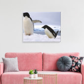 Pair Adelie Pinguine Antarktis Leinwanddruck (Insitu (Wohnzimmer))