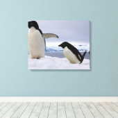 Pair Adelie Pinguine Antarktis Leinwanddruck (Insitu (Holzboden))