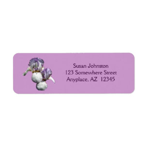 Pair-Adresse der Blume Bartded Iris