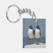 Pair of Black Headed Gulls Schlüsselanhänger (Vorderseite links)