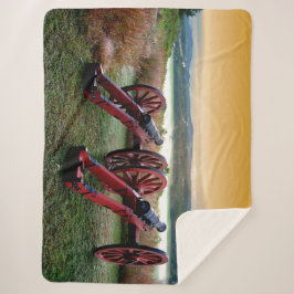 PAIR OF CANNON SHERPADECKE