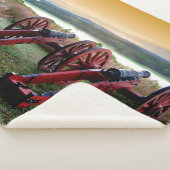 PAIR OF CANNON SHERPADECKE (3/4)