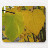 Pair of Fall Redbud Blätter Herbstfotografie Mousepad (Vorne)