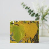 Pair of Fall Redbud Blätter Herbstfotografie Postkarte (Stehend Vorderseite)