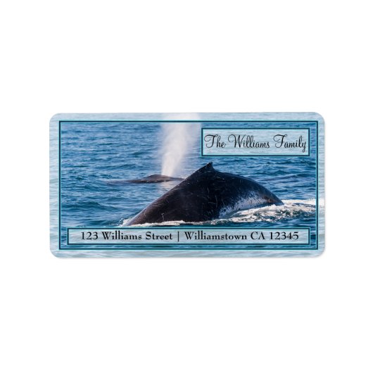 Pair of Humpback Whales Address Labels Adressaufkleber (Vorne)