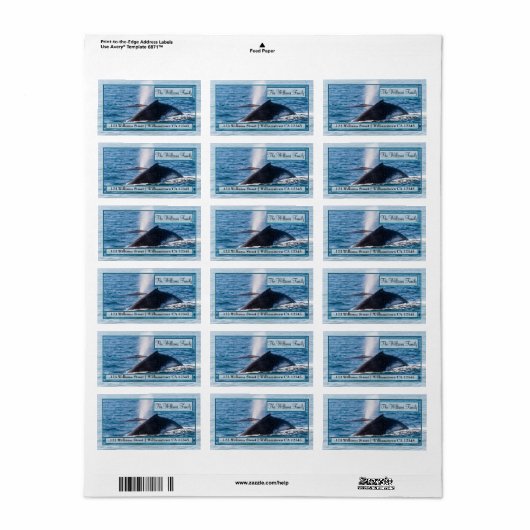 Pair of Humpback Whales Address Labels Adressaufkleber (Vorne)