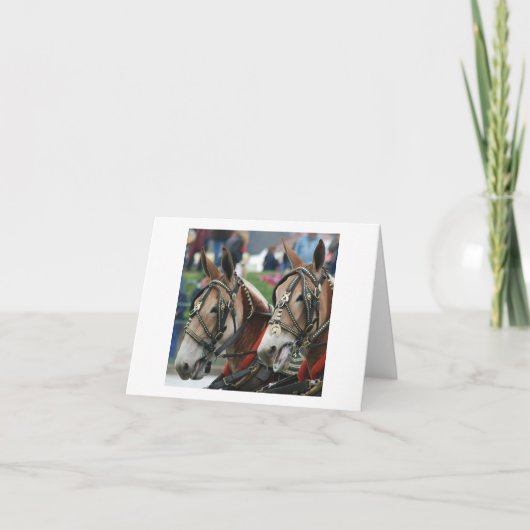 Pair of mules in harness karte (Vorderseite)